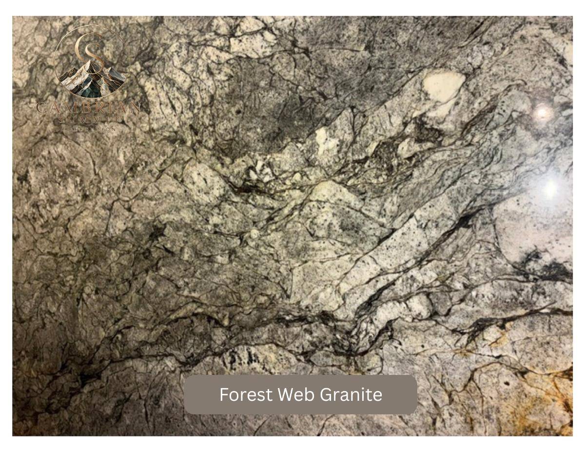 forest-web-granite